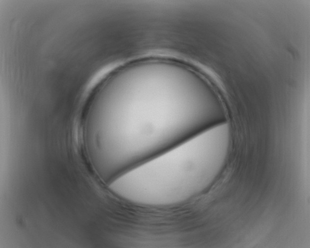 X0000114631271200910201015