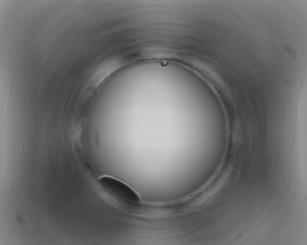 X0000114631273200910201015