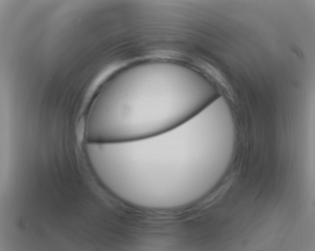 X0000114631275200910201014