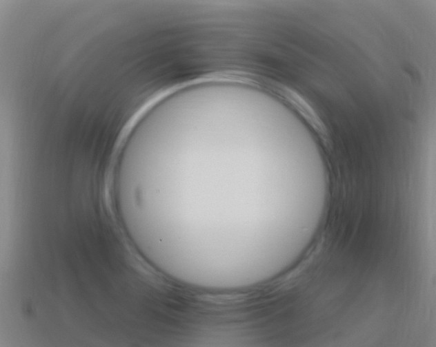 X0000114631276200910201014