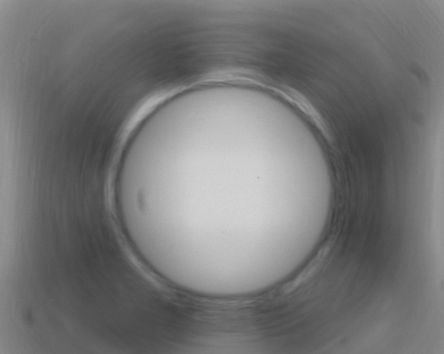 X0000114631277200910201014
