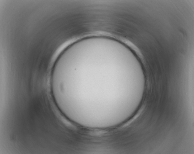 X0000114631278200910201014