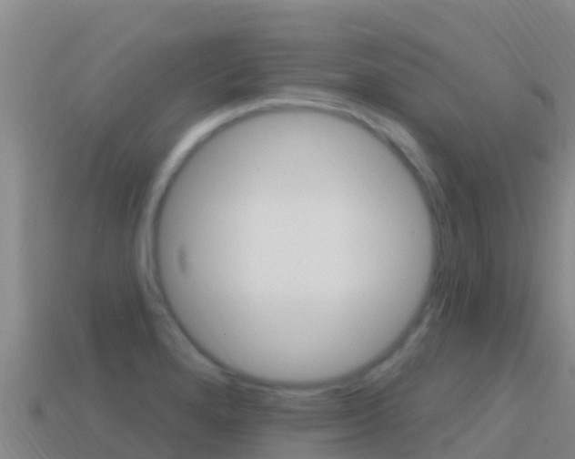 X0000114631280200910201014