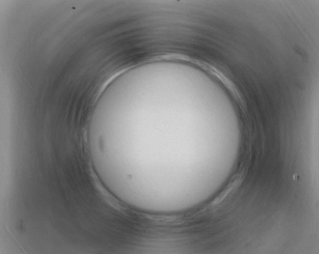 X0000114631281200910201014