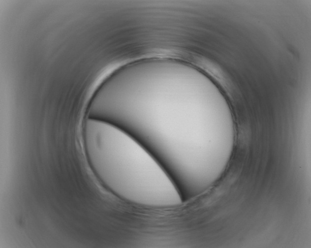 X0000114631283200910201014