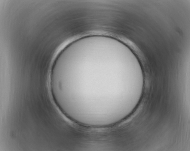 X0000114631286200910201014