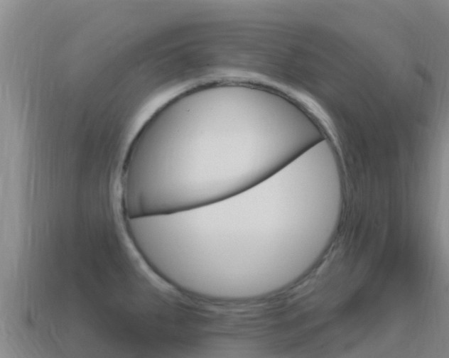 X0000114631287200910201014