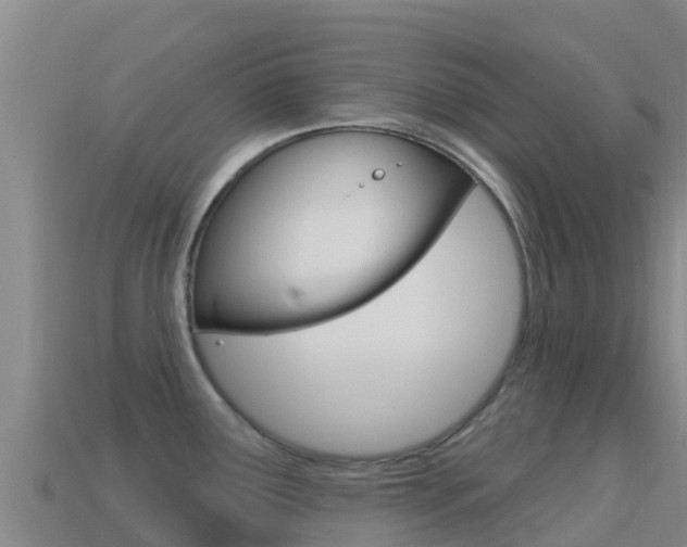 X0000114631291200910201014