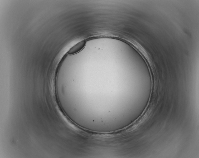 X0000114631293200910201014