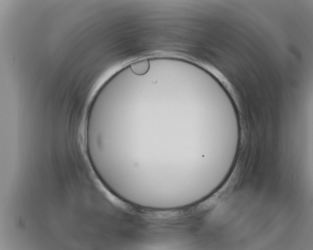X0000114631294200910201014