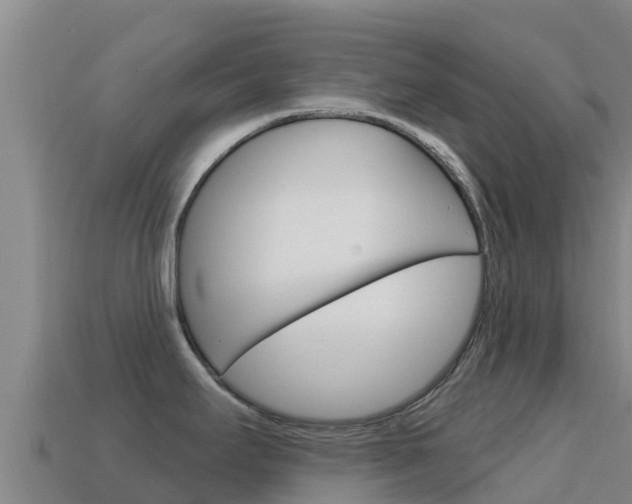 X0000114631295200910201014
