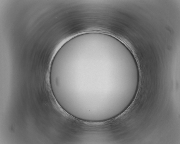X0000114631296200910201014