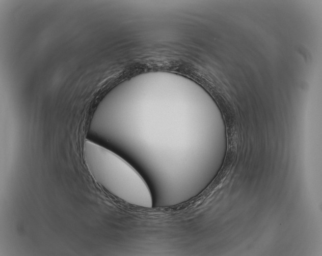 X0000114631297200910201014