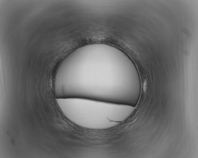 X0000114631299200910201014