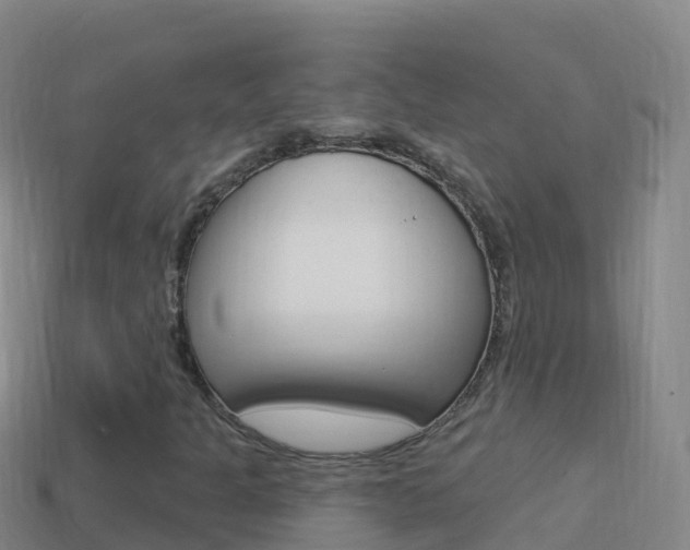 X0000114631301200910201014