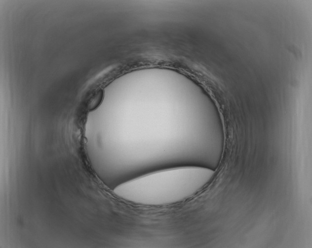 X0000114631302200910201014