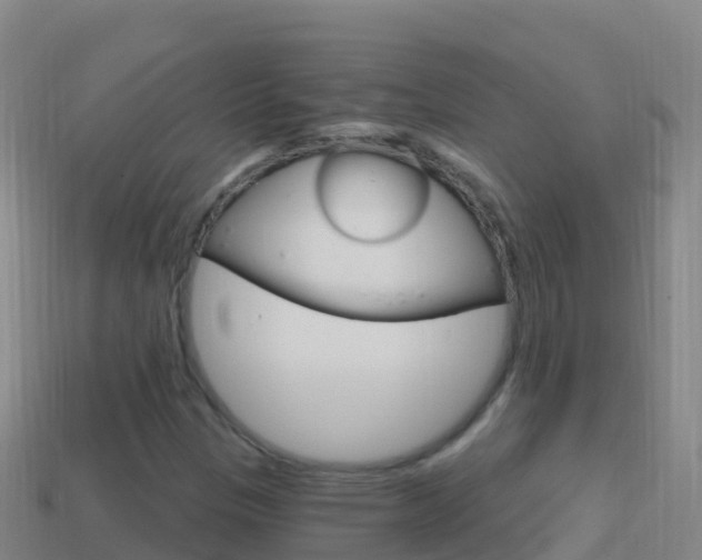 X0000114631305200910201014