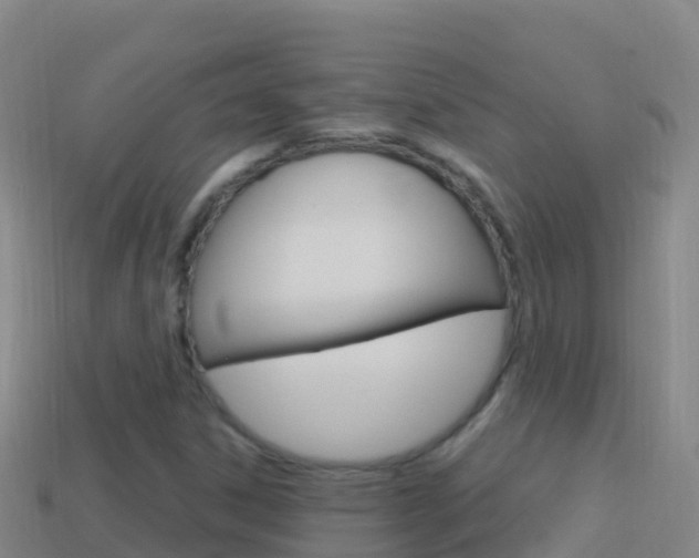 X0000114631306200910201014