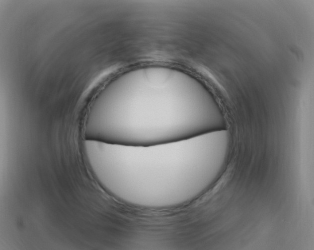 X0000114631307200910201014