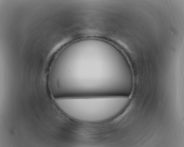 X0000114631309200910201014