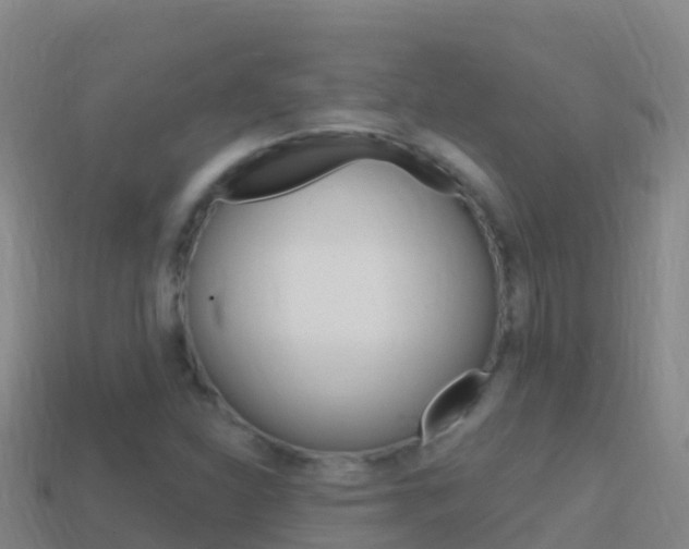 X0000114631310200910201014