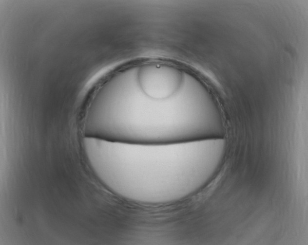 X0000114631311200910201014