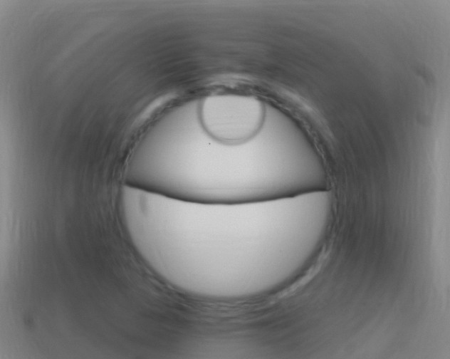 X0000114631313200910201014