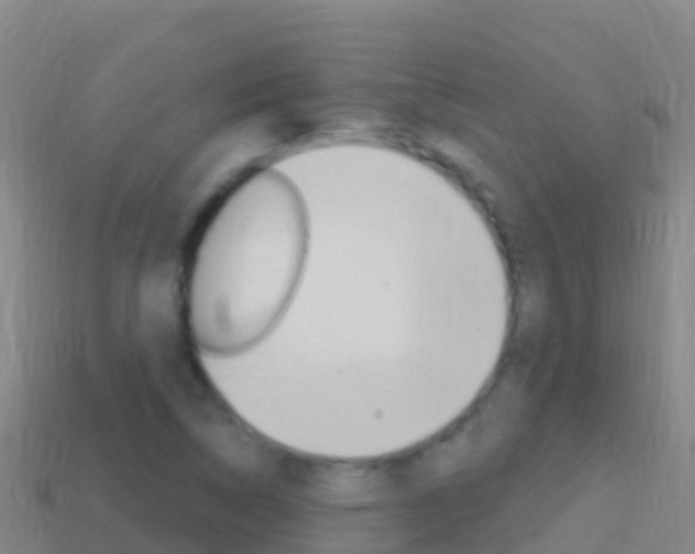 X0000114631314200910201014