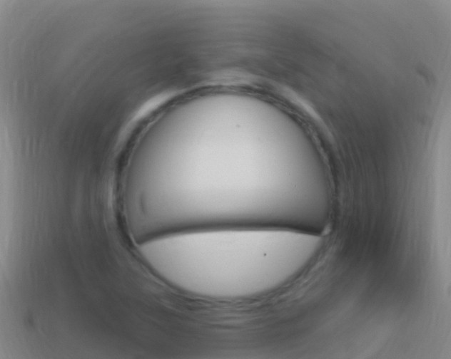 X0000114631315200910201014