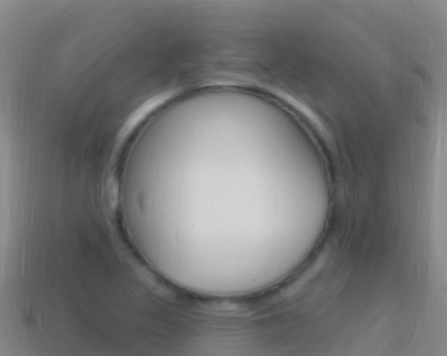 X0000114631317200910201014