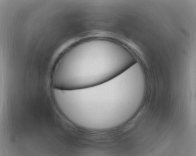 X0000114631318200910201014