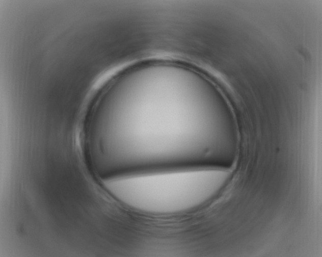 X0000114631319200910201014