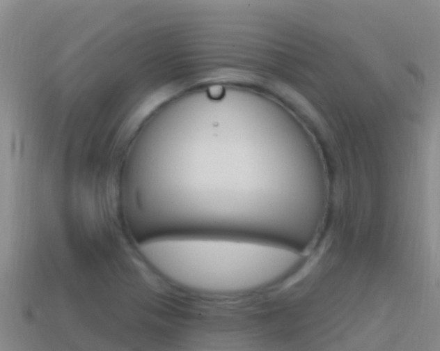X0000114631321200910201014