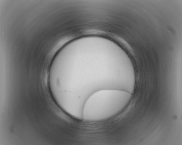 X0000114631322200910201014
