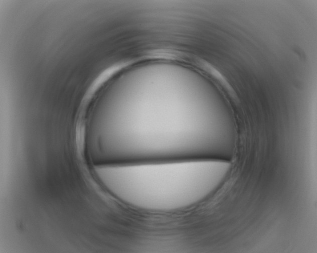 X0000114631323200910201014