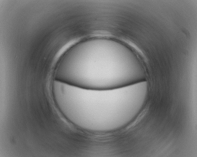 X0000114631325200910201014