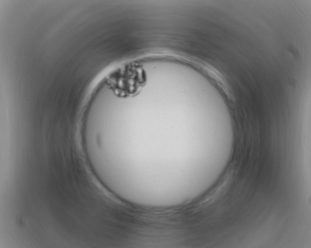 X0000114631326200910201014