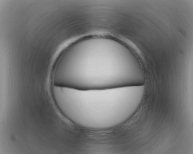 X0000114631327200910201014