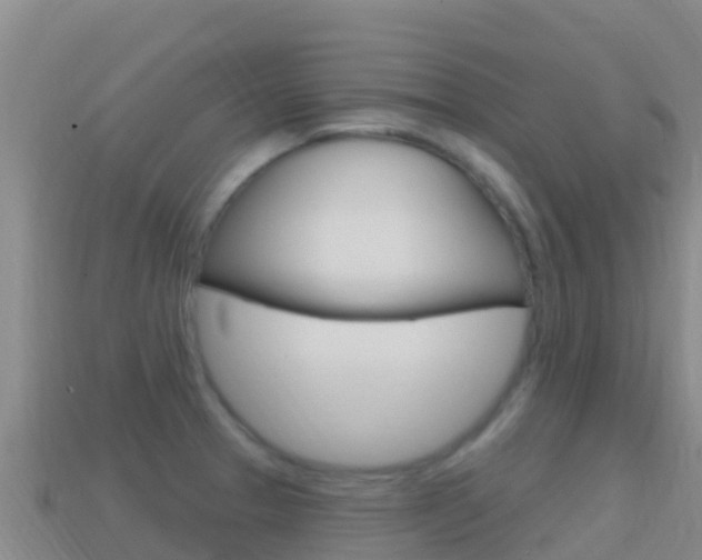 X0000114631329200910201014