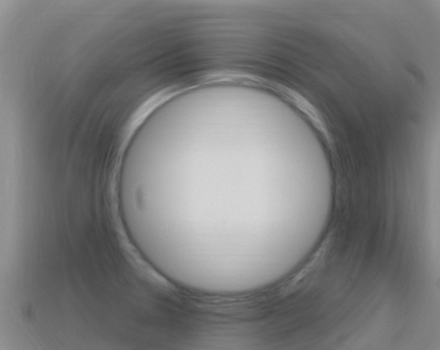 X0000114631330200910201014