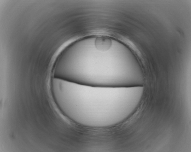 X0000114631331200910201014