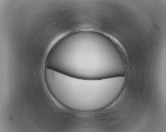X0000114631333200910201014