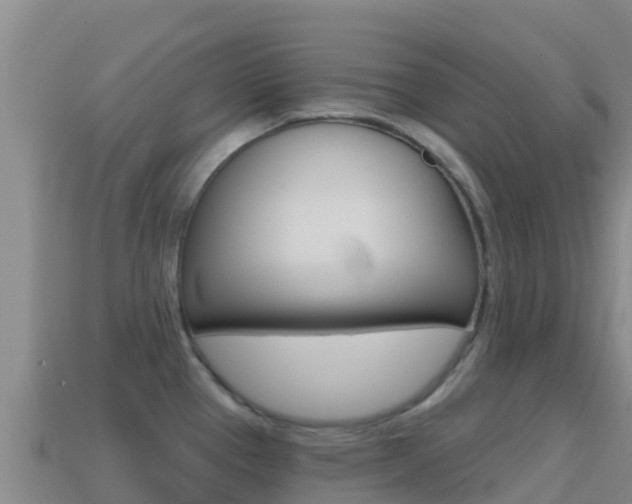 X0000114631337200910201014