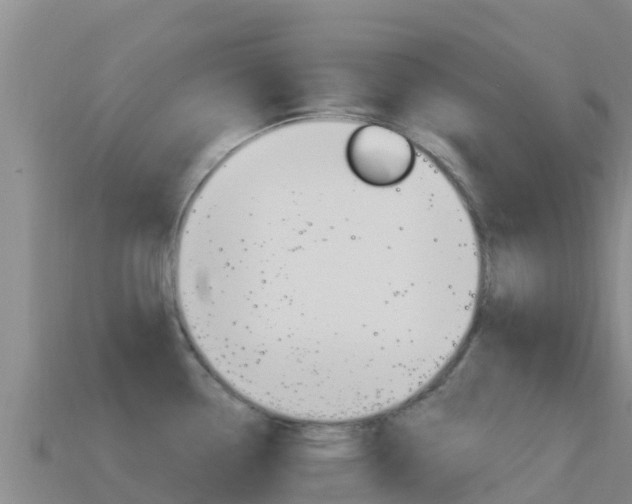 X0000114631338200910201014