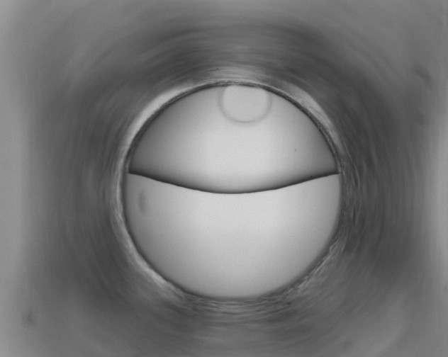 X0000114631339200910201014