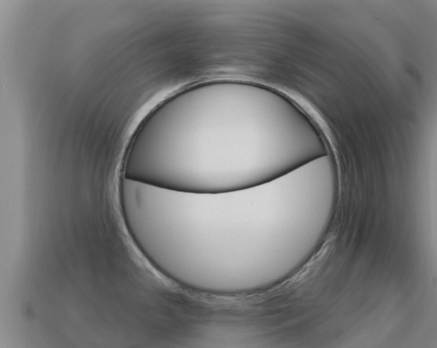 X0000114631341200910201014