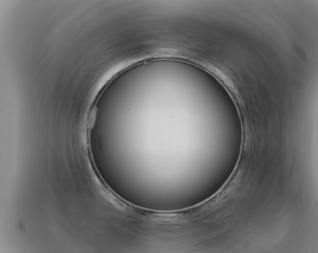 X0000114631342200910201014