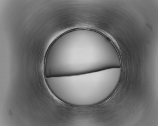 X0000114631343200910201014