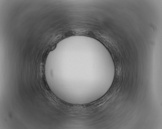 X0000114631346200910201014