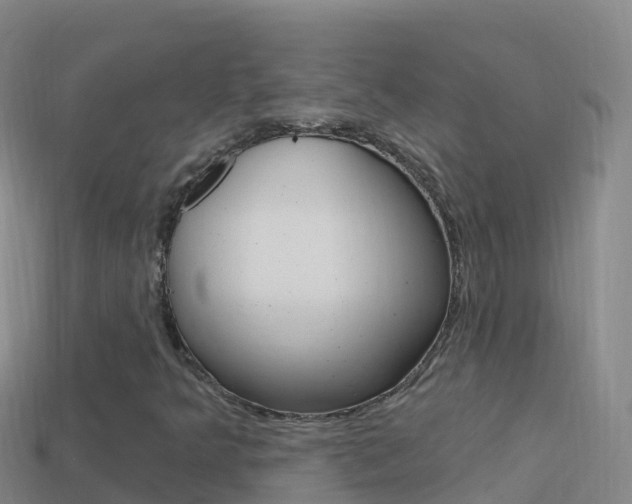X0000114631349200910201014